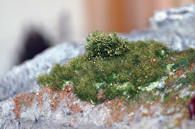 DSC_0148.JPG